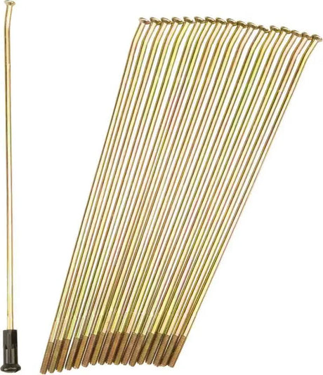 19-G205203-2 Double Butted Spokes Gold/Black Rear 19" 36/Pk