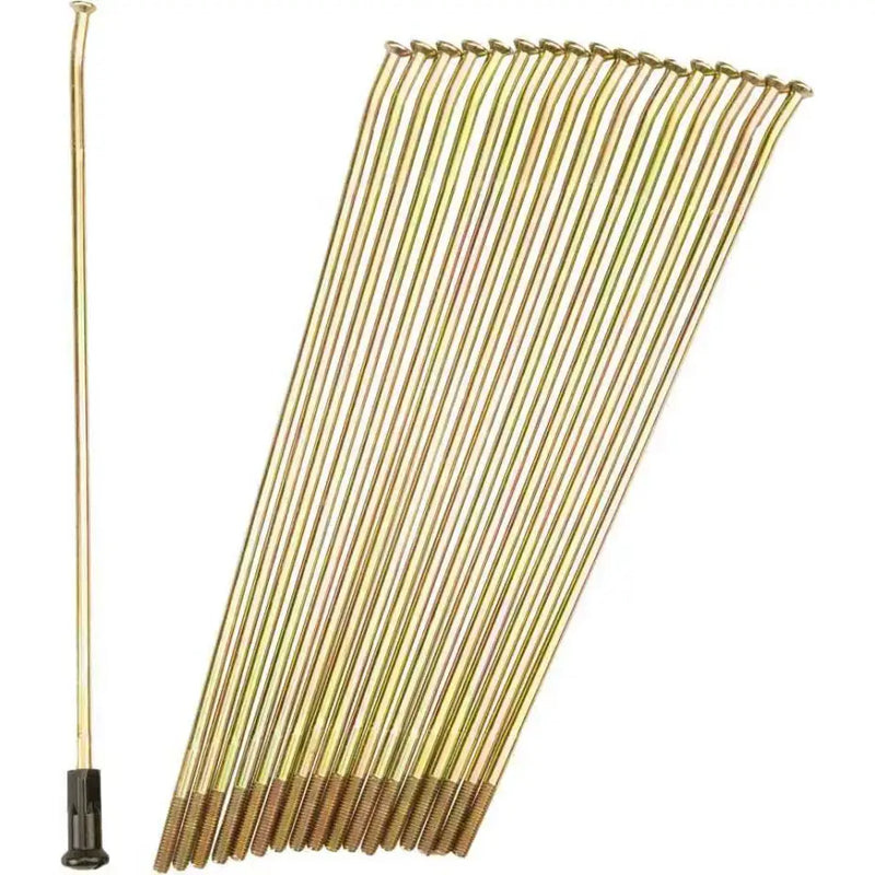19-G209209-2 Double Butted Spokes Gold/Black Rear 19" 36/Pk