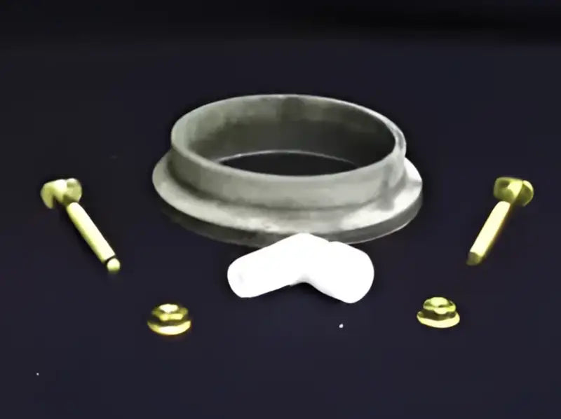 19309 Toilet Mounting Bolts