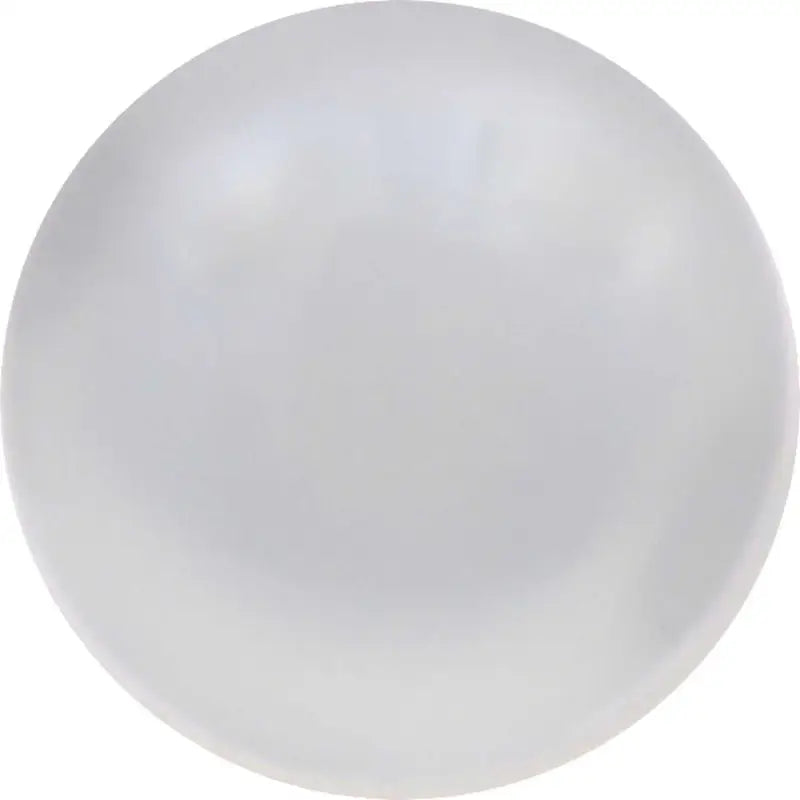 194ALED.BP Roof Marker Light Bulb - LED