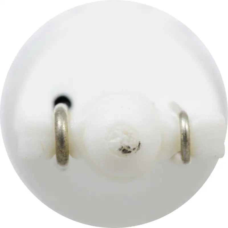 194BSL.BP Roof Marker Light Bulb - LED