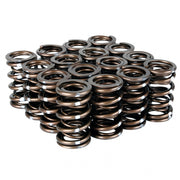 Skunk2 Racing 311-05-7380 Skunk2 Pro Series Honda/Acura K-Series i-VTEC XP Valve Spring Set (Dual Springs)