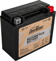 Harddrive AGM Sealed Battery HRDM720BH - High Perform YTX20HL Cca 310