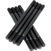 Black threaded cylinder studs for Evo 84-99 model in the 20-2098 studs Evo series
