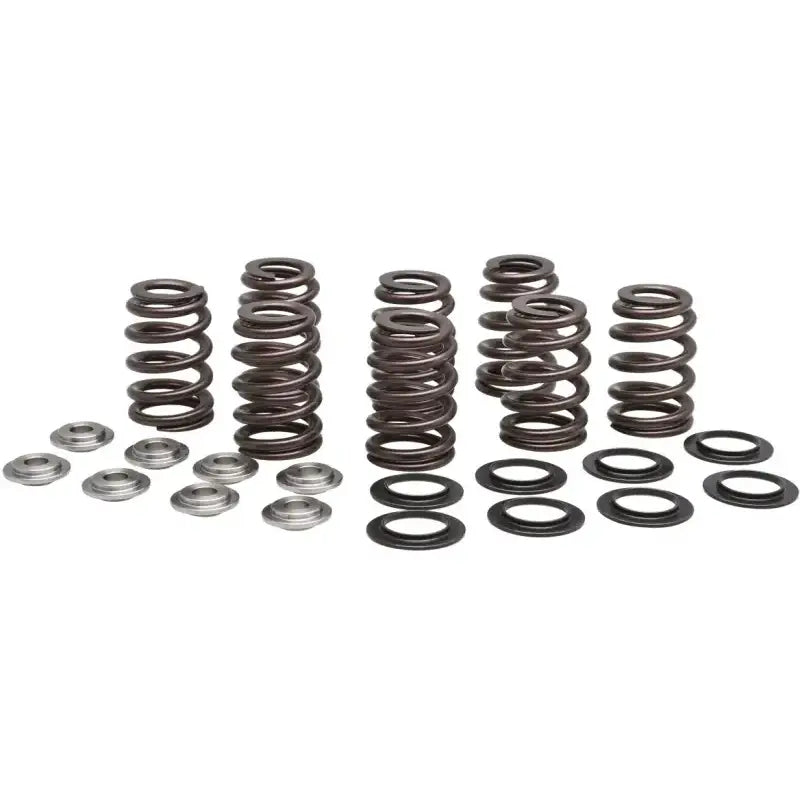 20-21000 Valve Spring Kit Beehive M8 Titanium