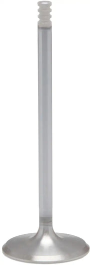 KPMI 20-21016H White Diamond Exhaust Valve M8 1.264 Std