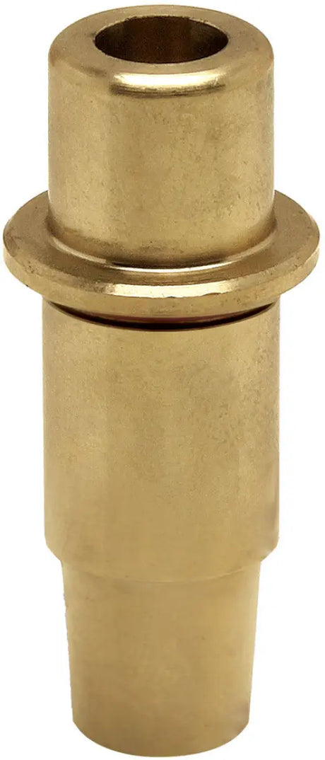 20-21029 Guide Intake 0.010 Bronze M8 - Valve