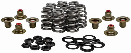 20-21850 Racing Valve Spring Kit.625 Lift H.T. Steel Retainer