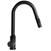 2021090600 Faucet