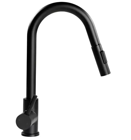2021090600 Faucet