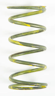 202551A Yellow Spring - Clutch