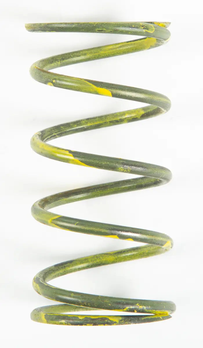 202551A Yellow Spring - Clutch