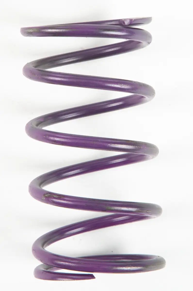 207888A Purple Spring - Clutch