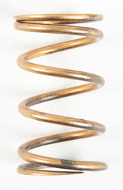 208175A Gold Spring - Clutch