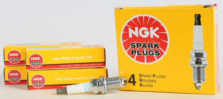 2095 Spark Plug #2095/10