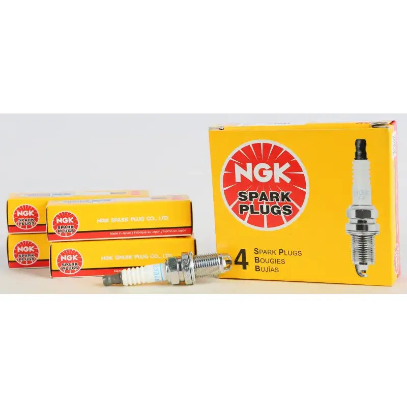 2095 Spark Plug #2095/10