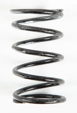 209696A Silver/Black Spring - Clutch