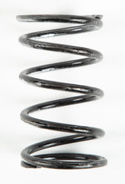 209696A Silver/Black Spring - Clutch