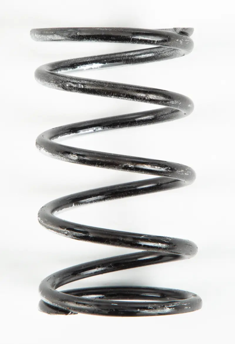 209696A Silver/Black Spring - Clutch