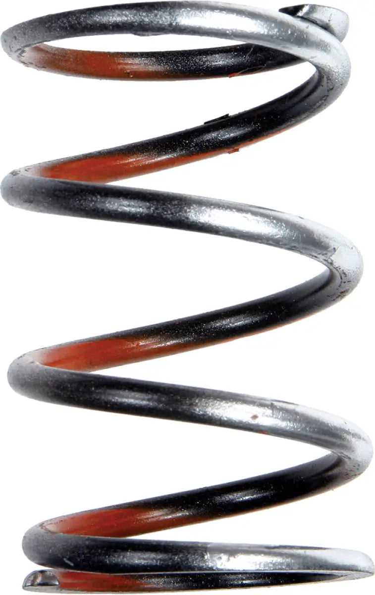 209936A Silver/Orange Spring - Clutch