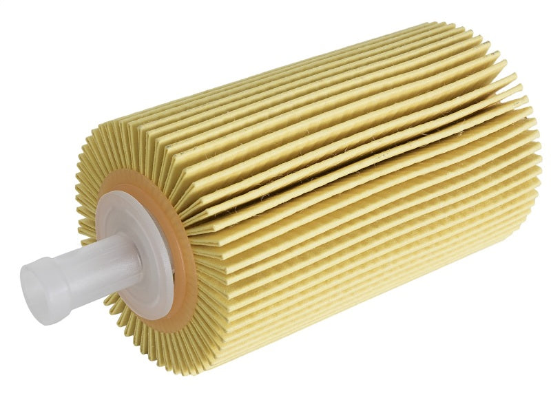 aFe 44-LF015-MB aFe Pro GUARD D2 Oil Filter 07-17 Toyota Tundra/Sequoia V8 4.6L/5.7L (4 Pack)