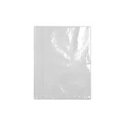 20F-0304 NON-SPECIFIED NON-PUBLICATION