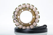 21-006 Ricks Stator