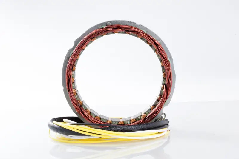 21-100 Ricks Stator
