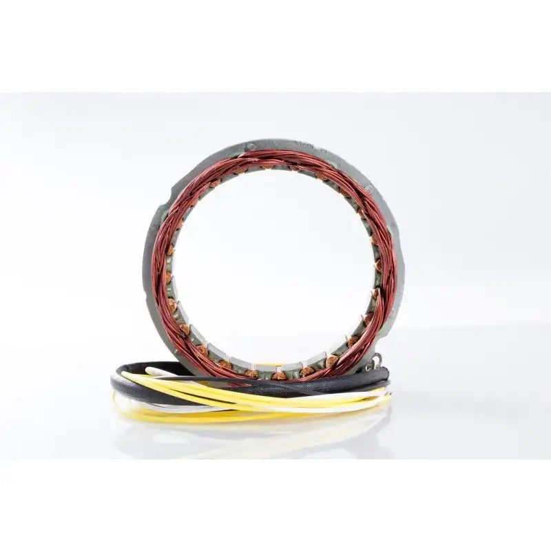 21-100 Ricks Stator