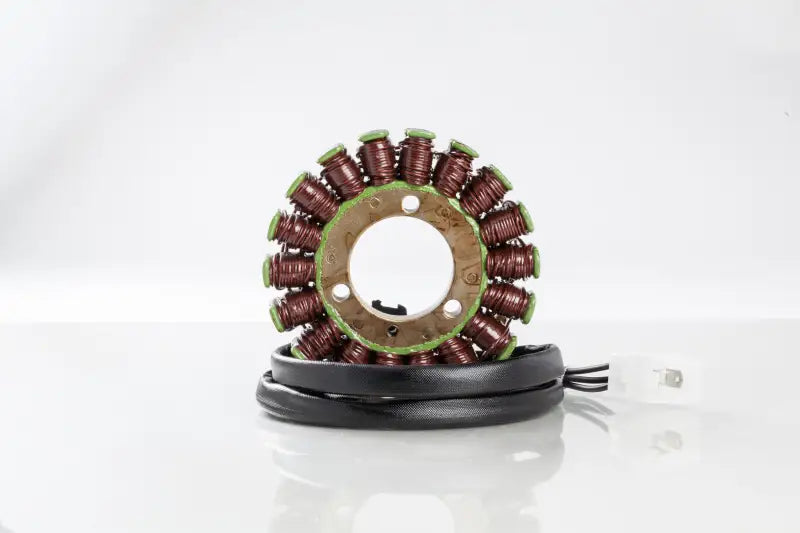 21-310 Ricks Stator