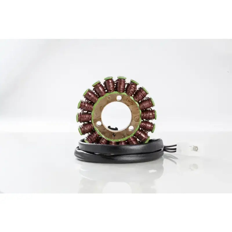 21-310 Ricks Stator