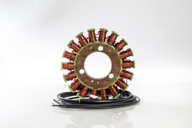 21-317 Ricks Stator