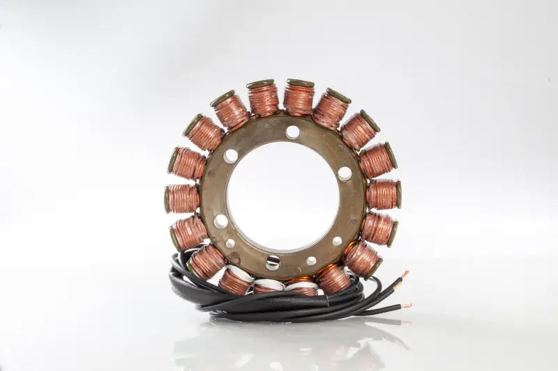 21-319 Ricks Stator