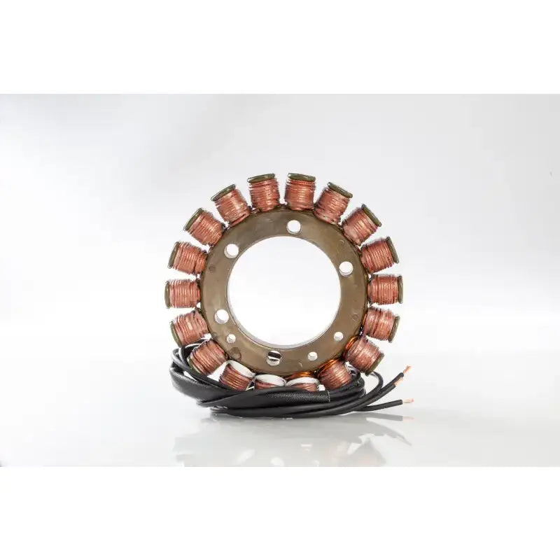 21-319 Ricks Stator
