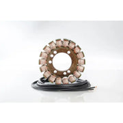 Motorcycle stator with wiring for 21-322, meets OEM specs, 1-year warranty, RV parts & accessories