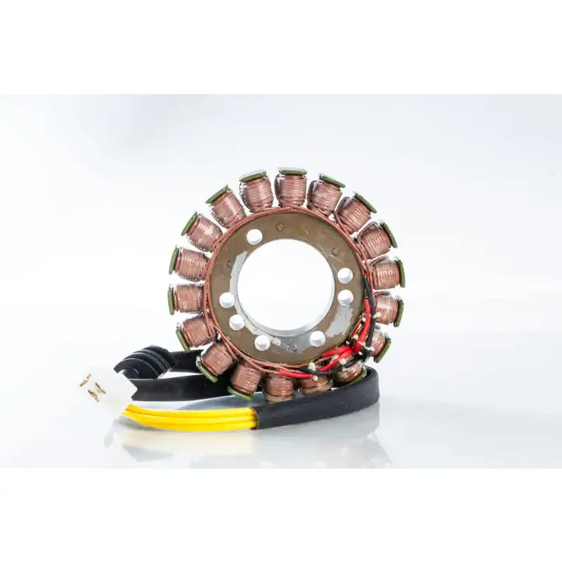 21-407 Ricks Stator
