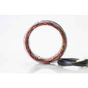 21-420 Ricks Stator