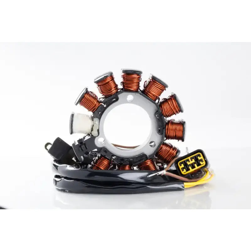 21-556 Ricks Stator