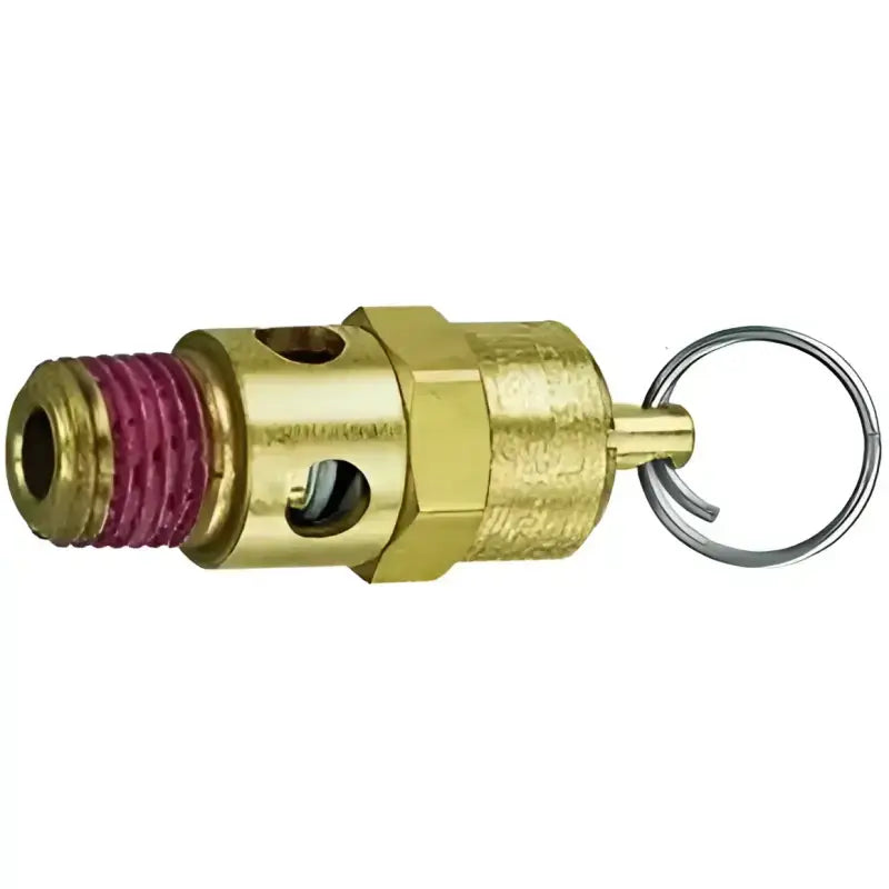 21-707 Air Tank Blow Off Valve