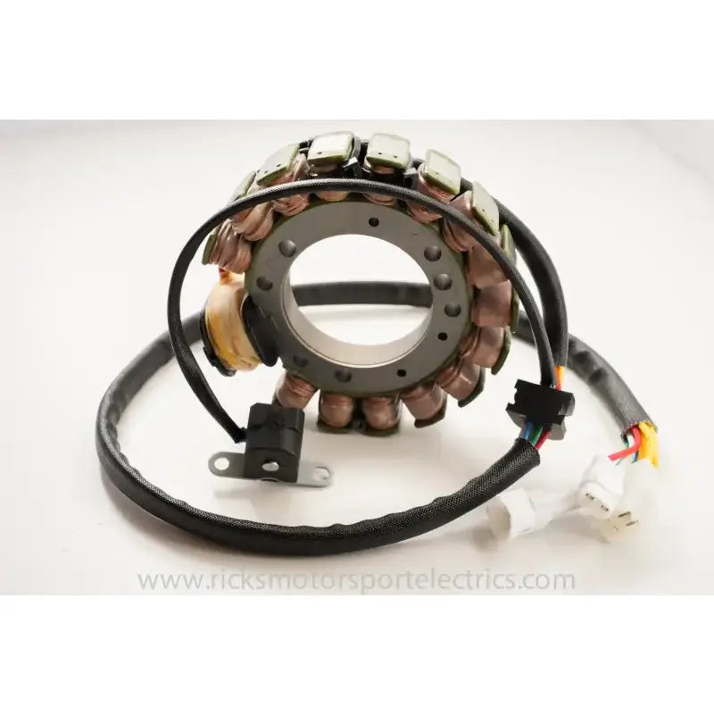 21-910 Ricks Stator