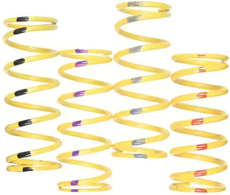 210141-004 Venom Products Primary Spring S-Doo - RV and Auto Parts