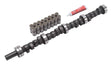 2132 Camshaft and Lifter Kit