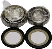 22-1019 Steering Bearing/Seal Kit - Head Bearing