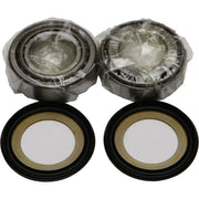 22-1022 Steering Bearing/Seal Kit - Head Bearing