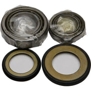 22-1025 Steering Bearing/Seal Kit - Head Bearing