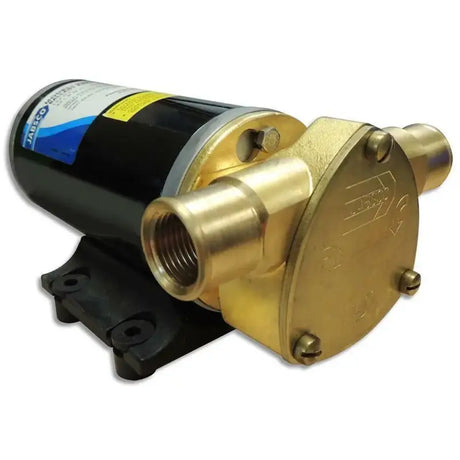 22610-9007 Jabsco Ballast King 15 Gpm - Boat Pump