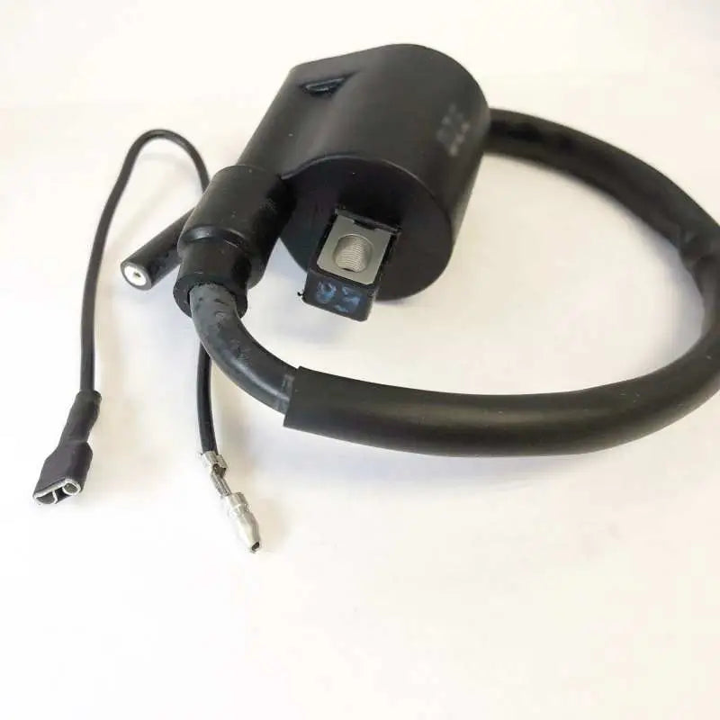 23-301 Ricks Ignition Coil - Electrical
