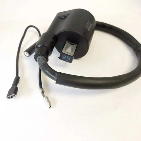 23-301 Ricks Ignition Coil - Electrical