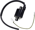 23-301 Ricks Ignition Coil - Electrical