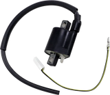 23-301 Ricks Ignition Coil - Electrical